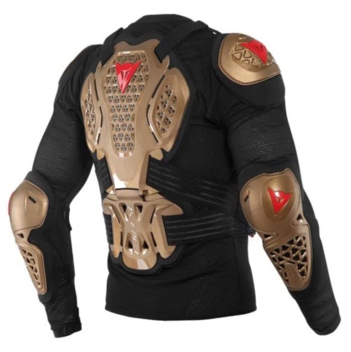 Защита тела Dainese MX2 Safety Gold-Black